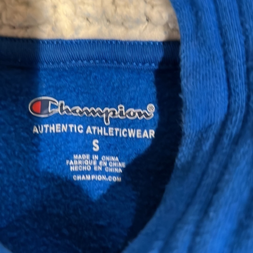 Champion Sherpa lined hood sweatshirt - Picture 6 of 6